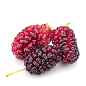 Mulberry Malai